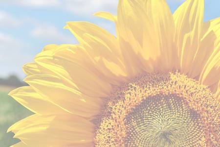 Quelle: canva.com